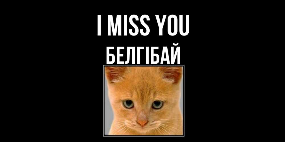 Greetings card с именем, Белгібай I miss you открытки рыжий котенок скучает по тебе Greetings with text for free download 
