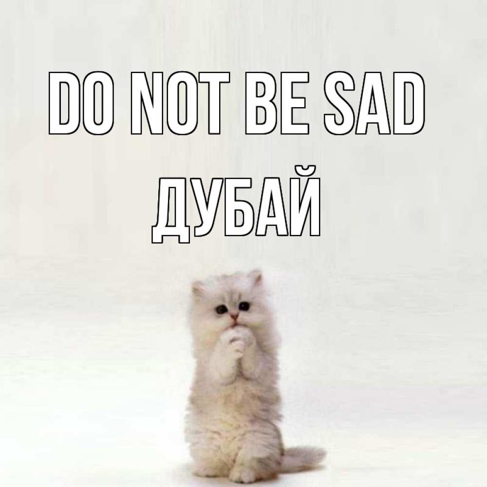 Greetings card с именем, Дубай Do not be sad грустный кот Greetings with text for free download 