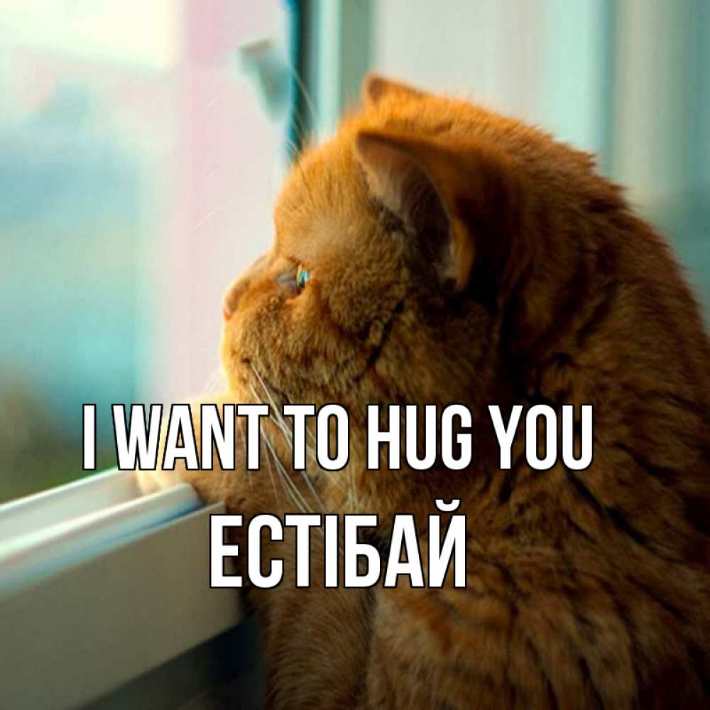 Greetings card с именем, Естібай I want to hug you большой огромный рыжий котяра Greetings with text for free download 