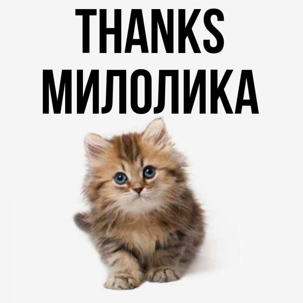 Greetings card с именем, Милолика Thanks пушистый котик Greetings with text for free download 