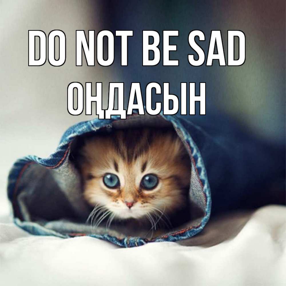Greetings card с именем, ОҢДАСЫН Do not be sad рыжик котик Greetings with text for free download 