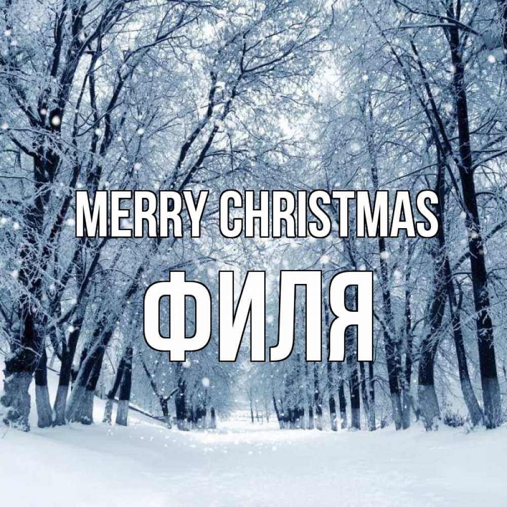 Greetings card с именем, Филя Merry Christmas снег, лес, парк Greetings with text for free download 