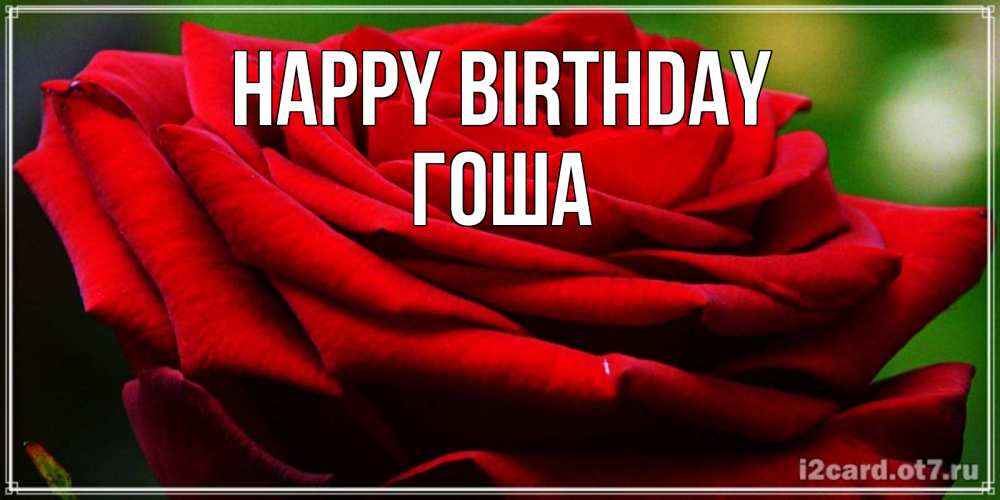 Greetings card с именем, Гоша Happy Birthday розочка очень красивая Greetings with text for free download 