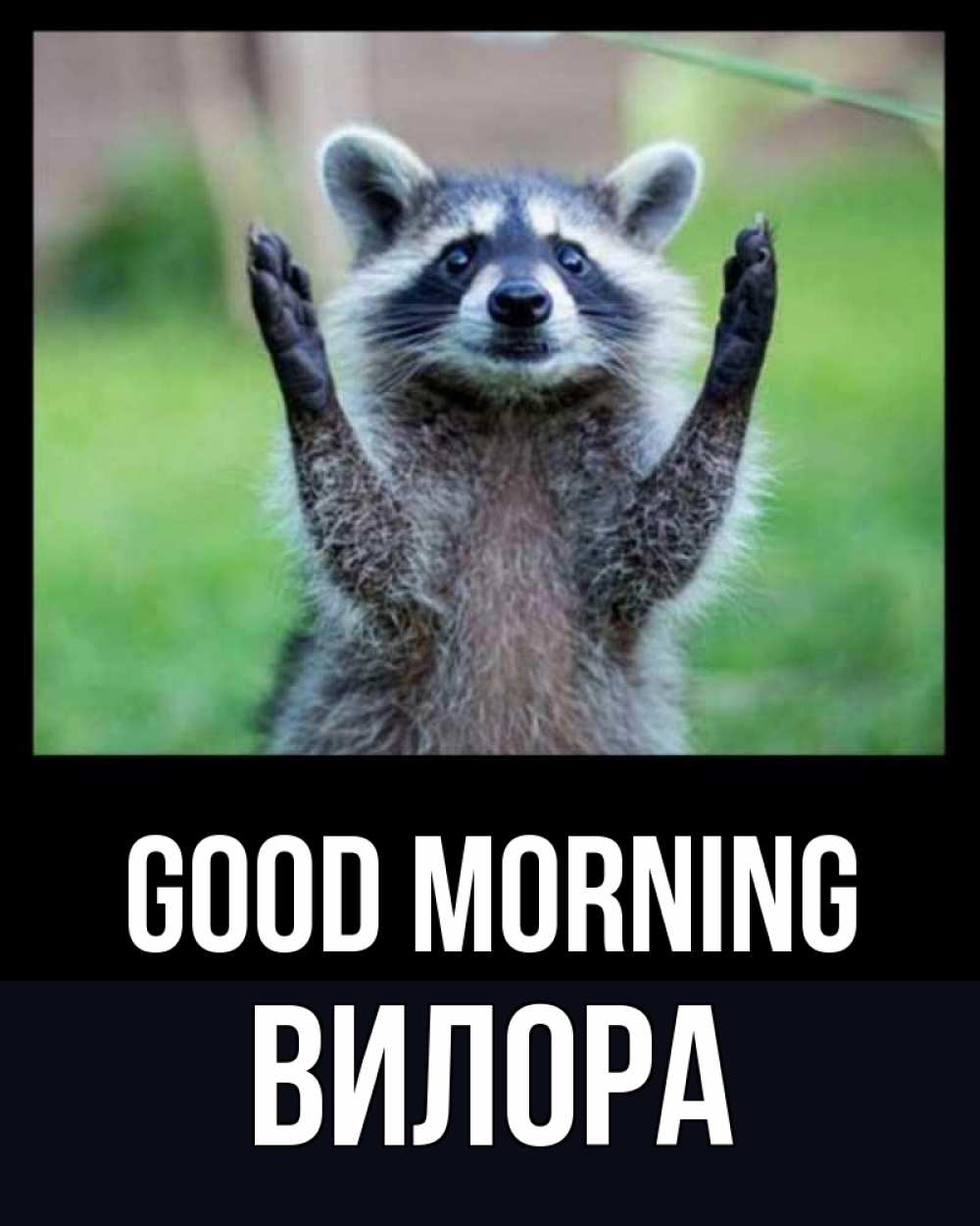 Greetings card с именем, Вилора Good morning хорошее настроение утречком Greetings with text for free download 