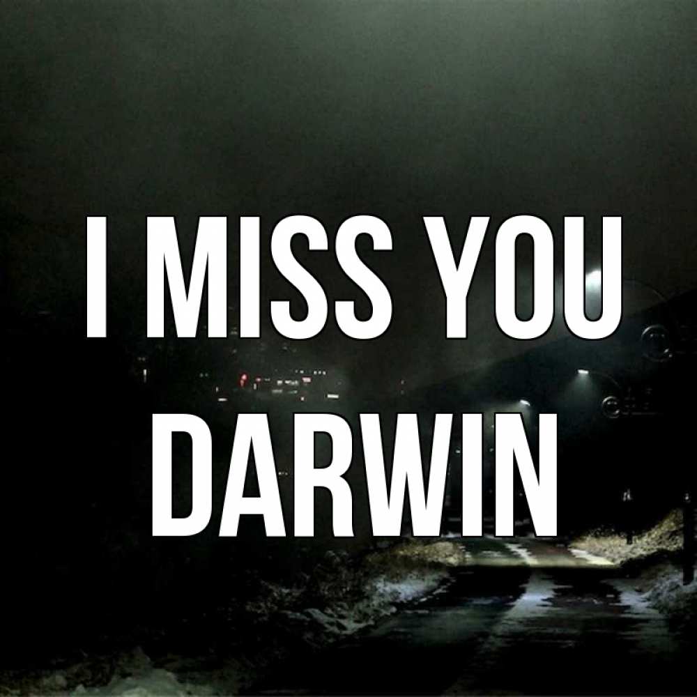 Greetings card с именем, Darwin I miss you окраина города Greetings with text for free download 