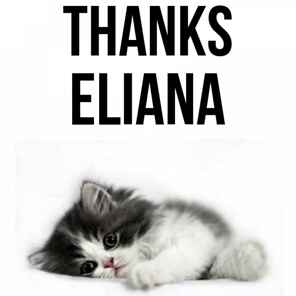 Greetings card с именем, Eliana Thanks черный и белый кот Greetings with text for free download 