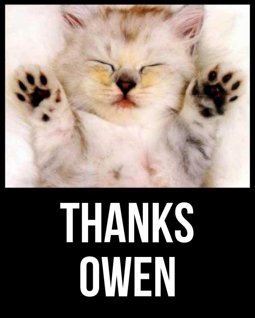 Greetings card с именем, Owen Thanks маленький котенок Greetings with text for free download 