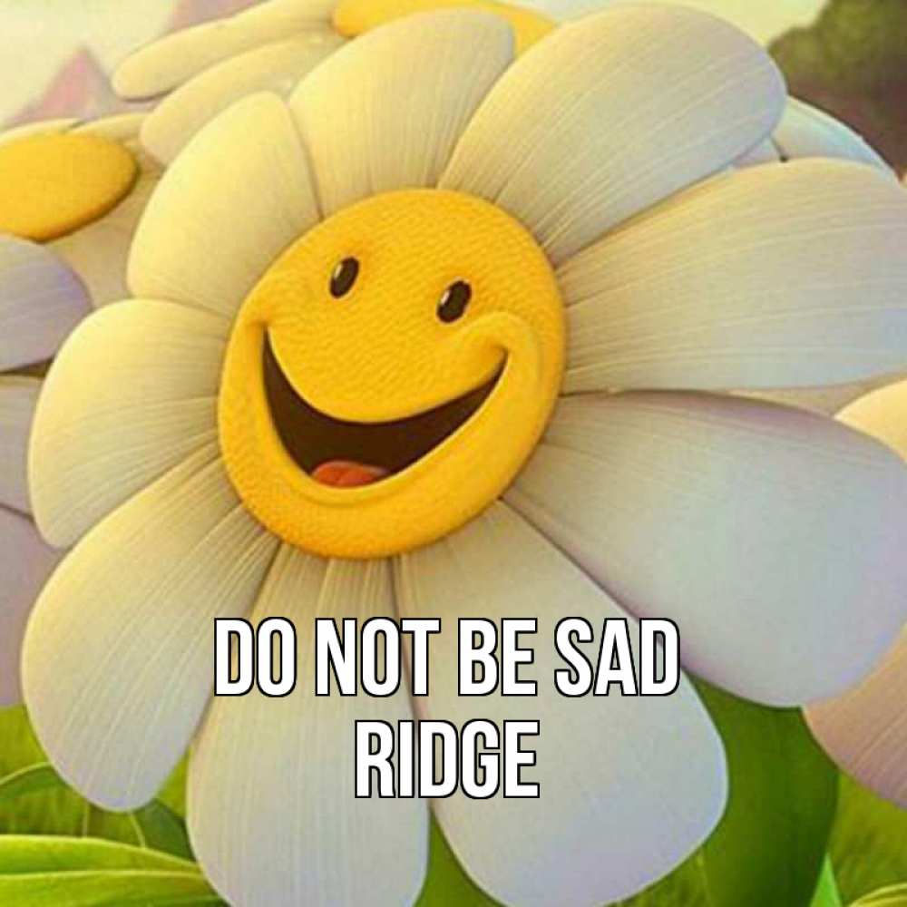 Greetings card с именем, Ridge Do not be sad огромная улыбающаяся ромашуща Greetings with text for free download 