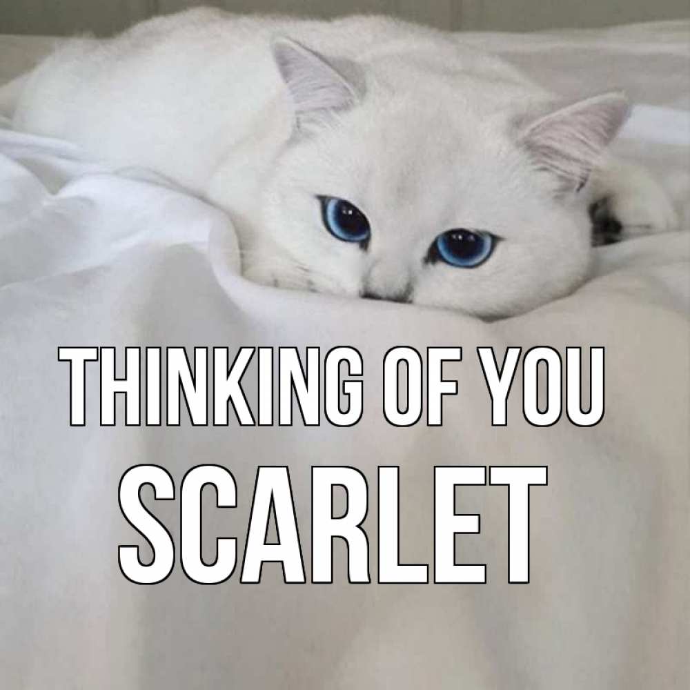 Greetings card с именем, Scarlet Thinking of you я очень по тебе скучаю и тоскую Greetings with text for free download 