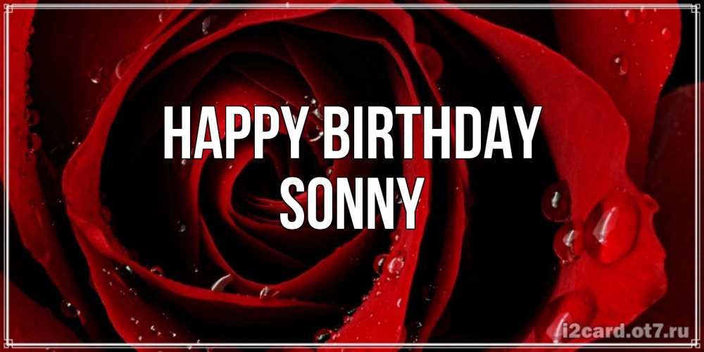 Greetings card с именем, Sonny Happy Birthday крупная бордовая роза Greetings with text for free download 