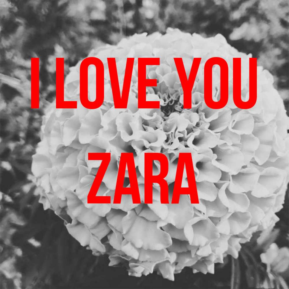 Greetings card с именем, Zara I love you подпись Greetings with text for free download 