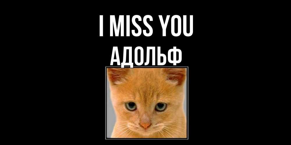 Greetings card с именем, Адольф I miss you открытки рыжий котенок скучает по тебе Greetings with text for free download 