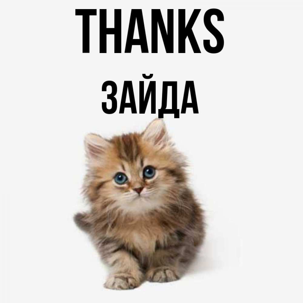 Greetings card с именем, ЗАЙДА Thanks пушистый котик Greetings with text for free download 