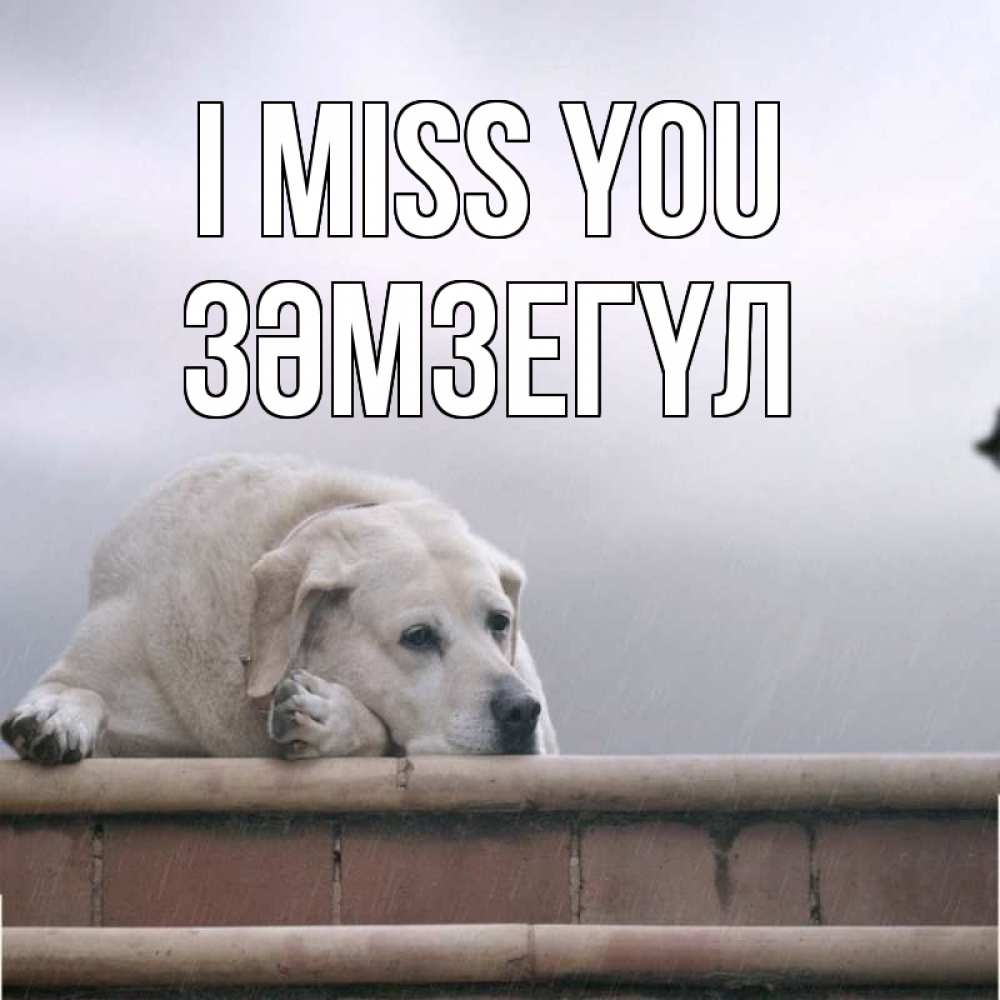 Greetings card с именем, ЗӘМЗЕГҮЛ I miss you ждет Greetings with text for free download 