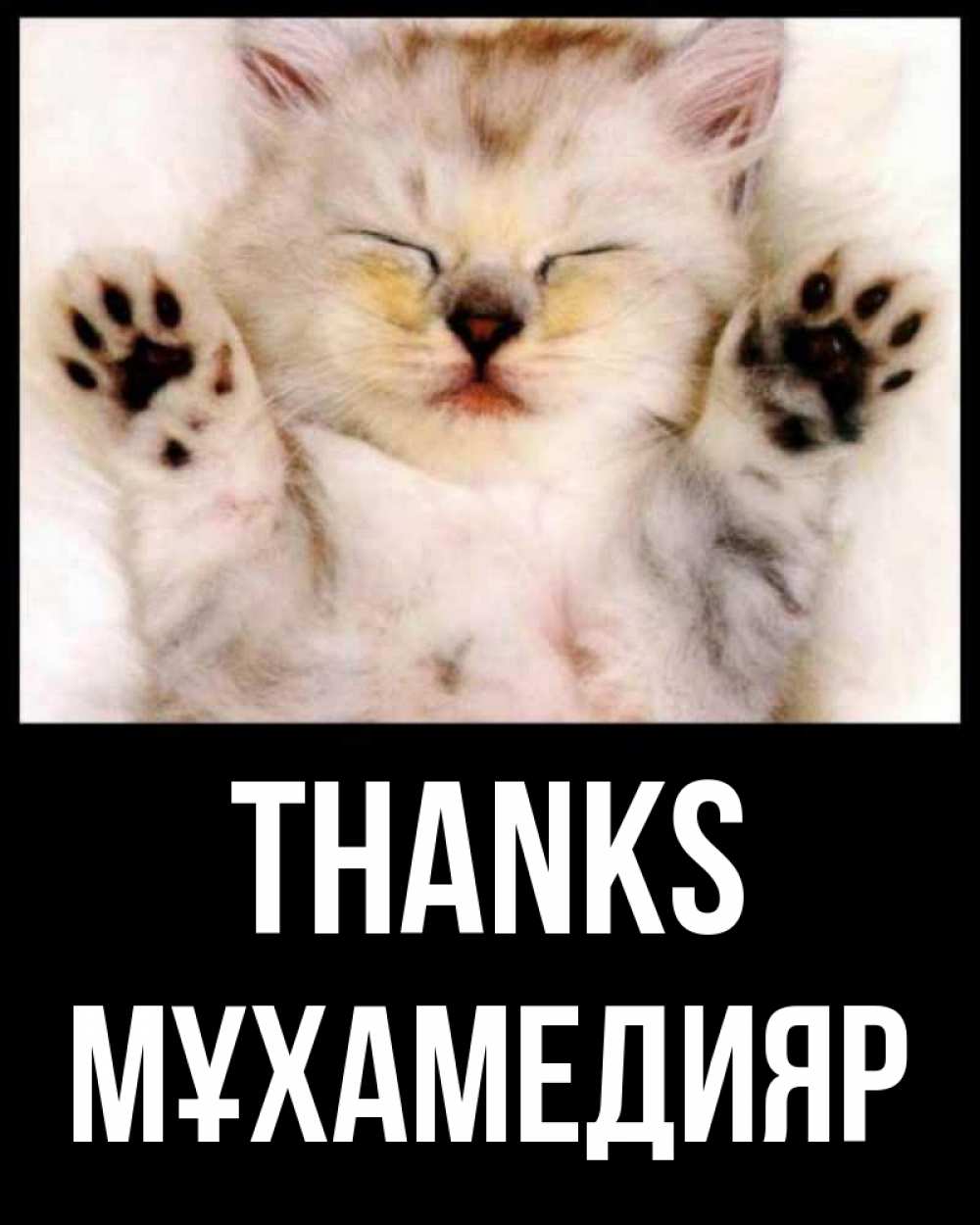 Greetings card с именем, МҰХАМЕДИЯР Thanks маленький котенок Greetings with text for free download 