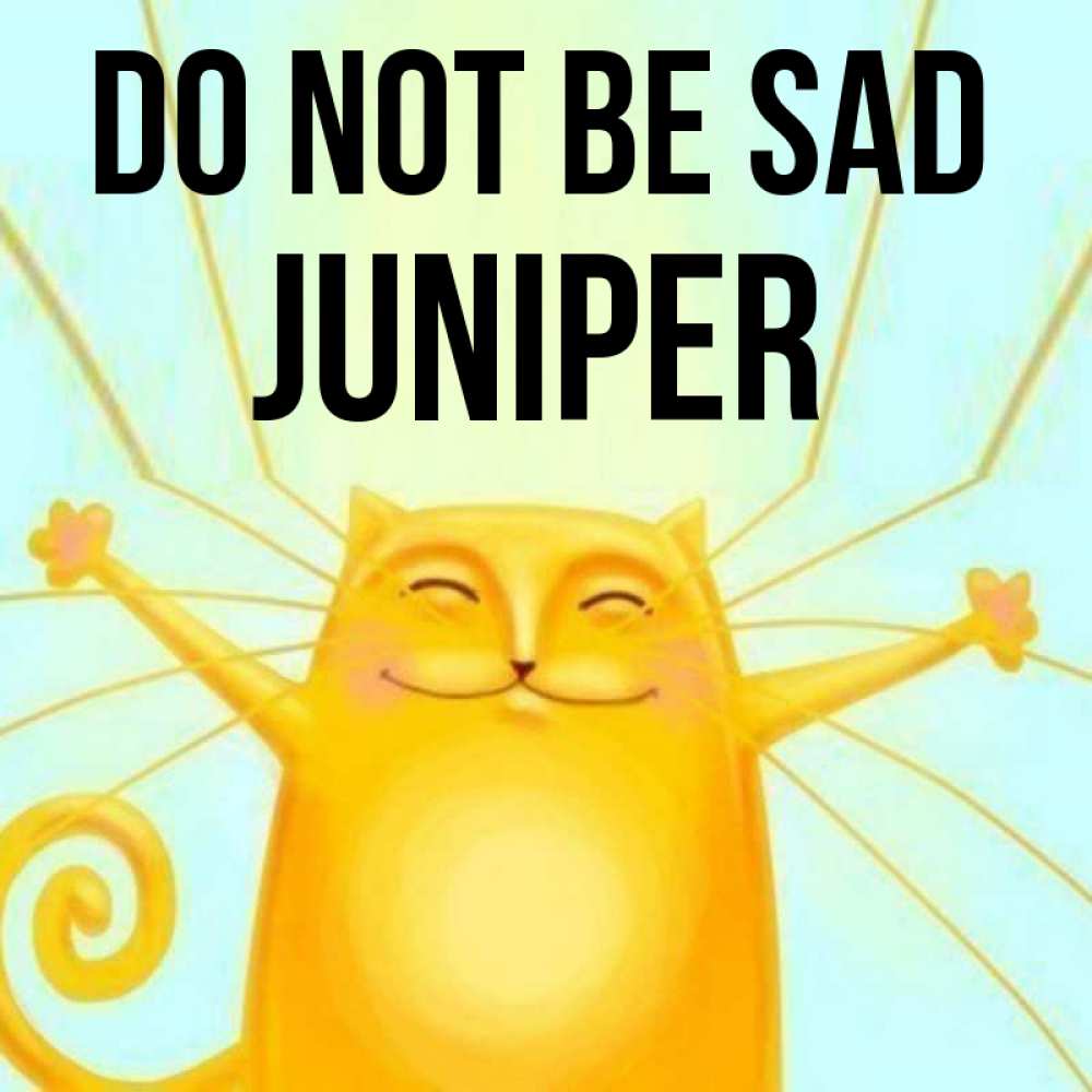Greetings card с именем, Juniper Do not be sad обнимашки усатые Greetings with text for free download 