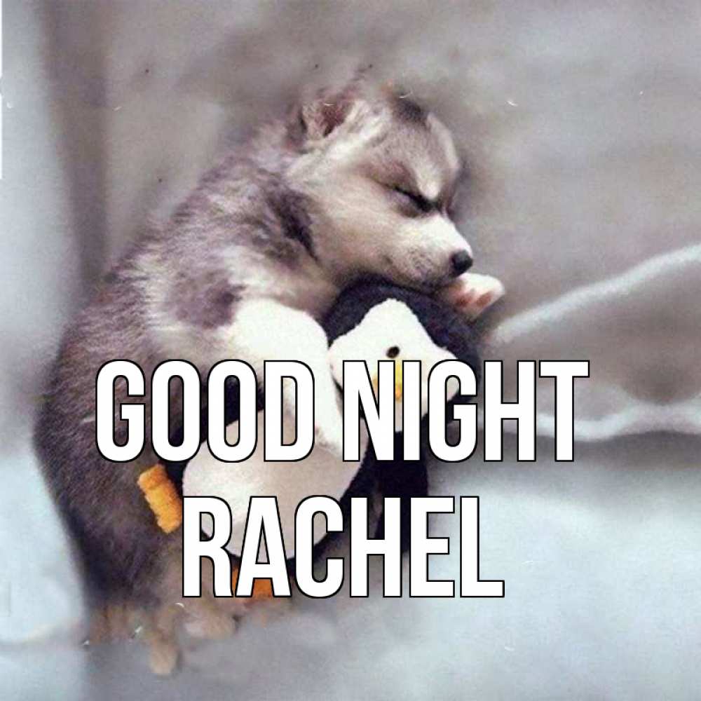 Greetings card с именем, Rachel Good night обнимашки щенка и пингвина Greetings with text for free download 