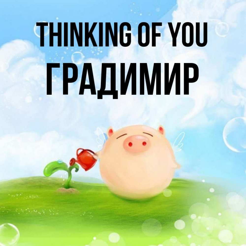 Greetings card с именем, Градимир Thinking of you позитивная свинюшка Greetings with text for free download 