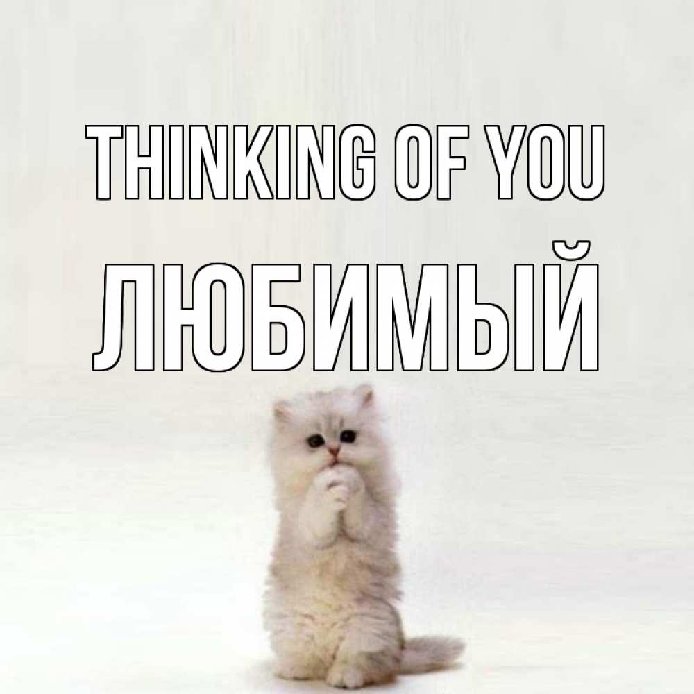 Greetings card с именем, Любимый Thinking of you кот стоит на задних лапах Greetings with text for free download 