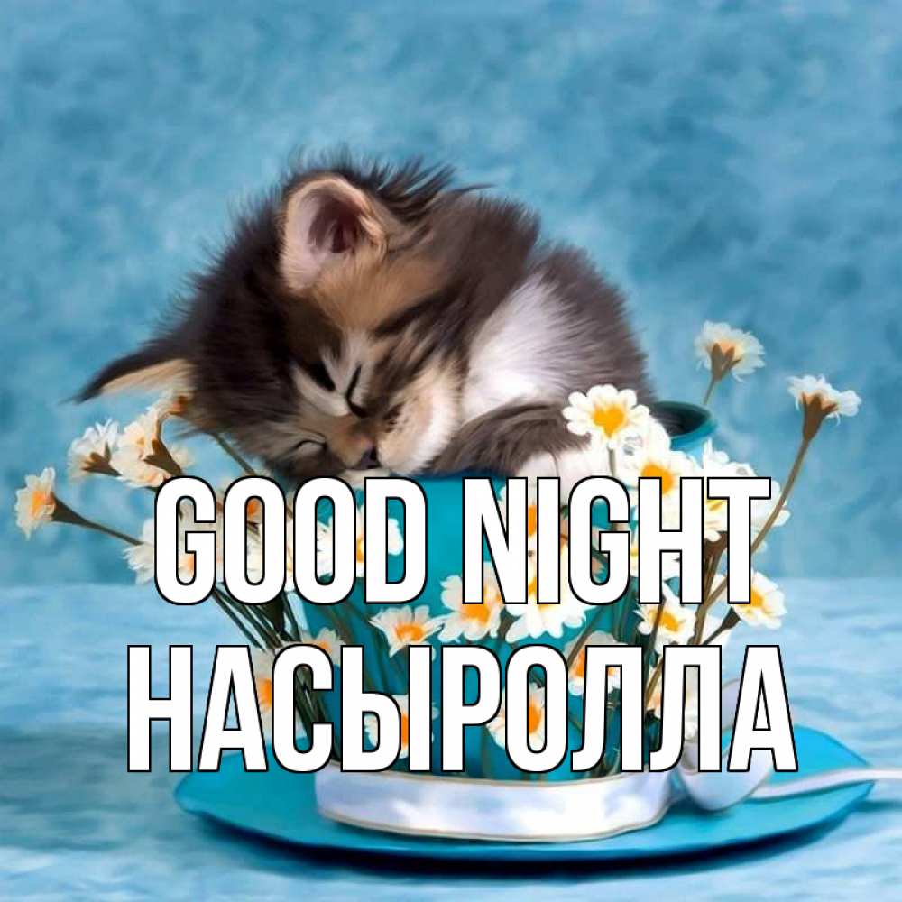 Greetings card с именем, Насыролла Good night котенок спит в кружке с блюдцем Greetings with text for free download 