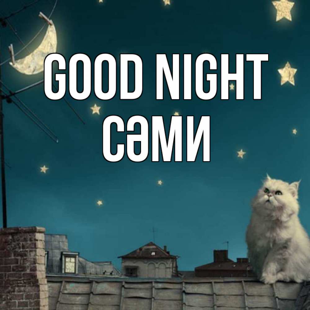 Greetings card с именем, СӘМИ Good night белый кот сидит на крыше Greetings with text for free download 