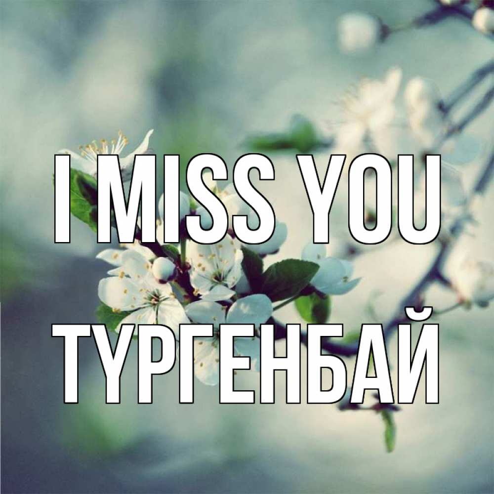 Greetings card с именем, ТҮРГЕНБАЙ I miss you весна Greetings with text for free download 