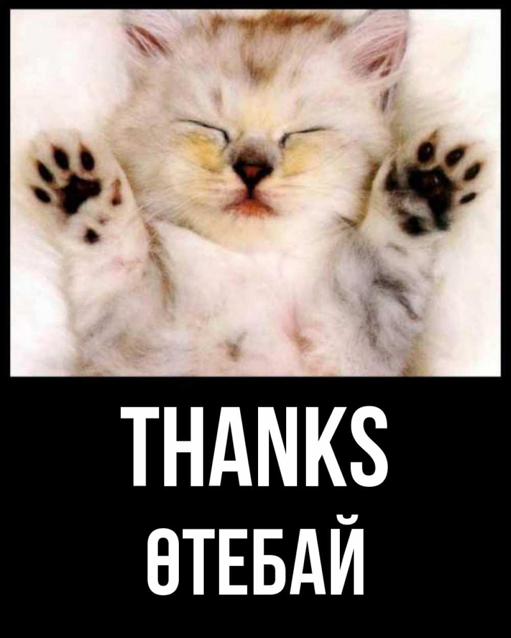 Greetings card с именем, ӨТЕБАЙ Thanks маленький котенок Greetings with text for free download 