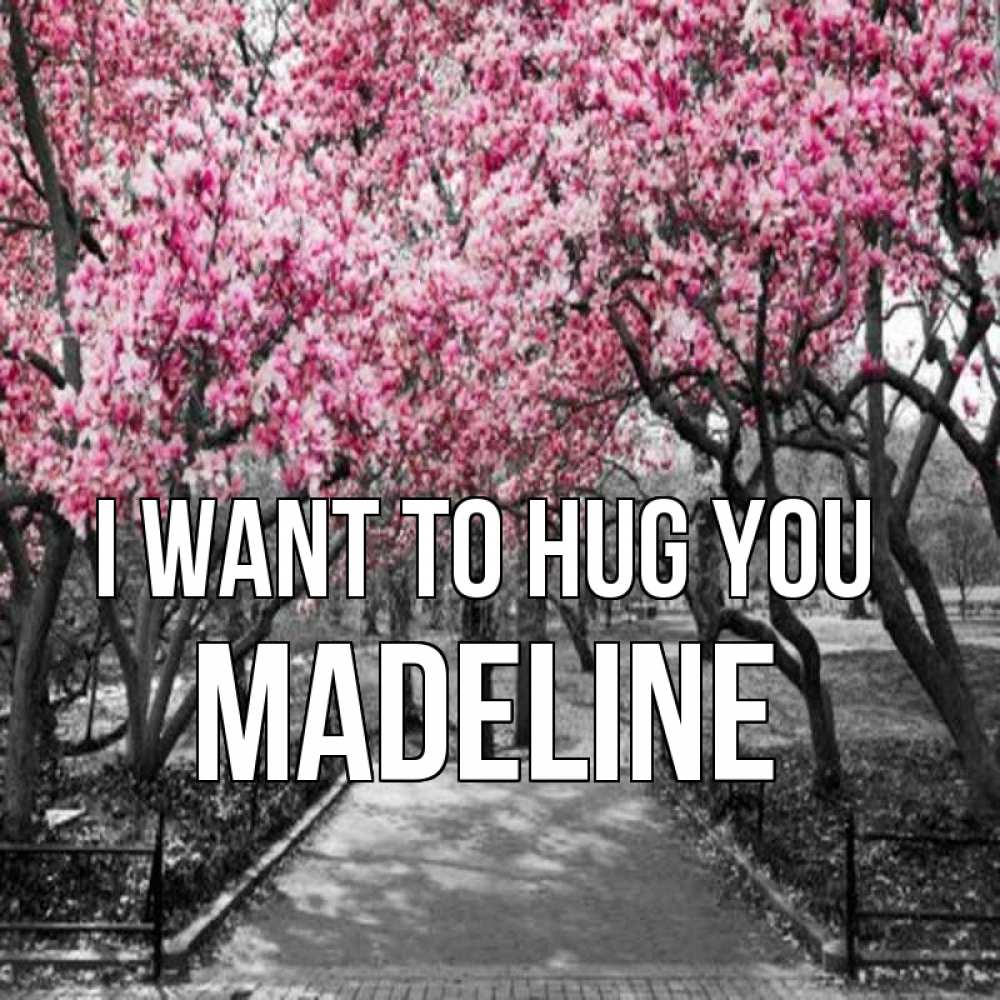 Greetings card с именем, Madeline I want to hug you обработанное фото Greetings with text for free download 