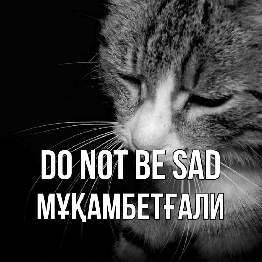 Greetings card с именем, Мұқамбетғали Do not be sad грустный котик Greetings with text for free download 