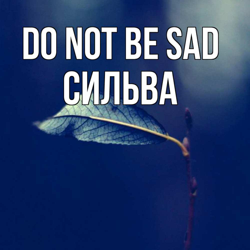 Greetings card с именем, Сильва Do not be sad растение Greetings with text for free download 