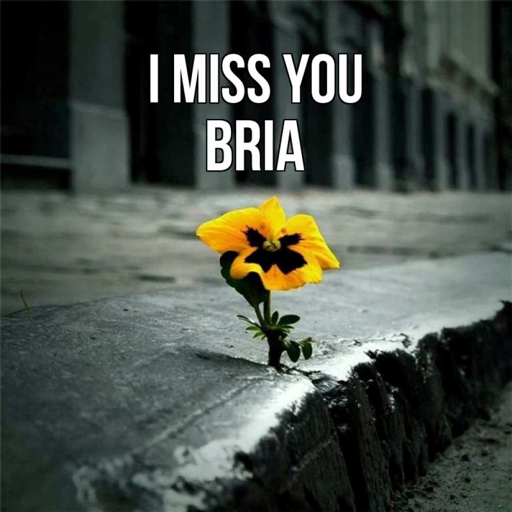 Greetings card с именем, Bria I miss you надеюсь будет лучше Greetings with text for free download 