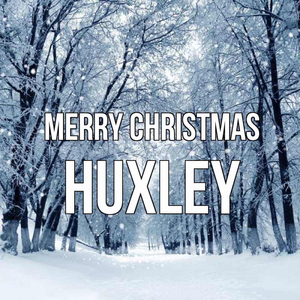 Greetings card с именем, Huxley Merry Christmas снег, лес, парк Greetings with text for free download 