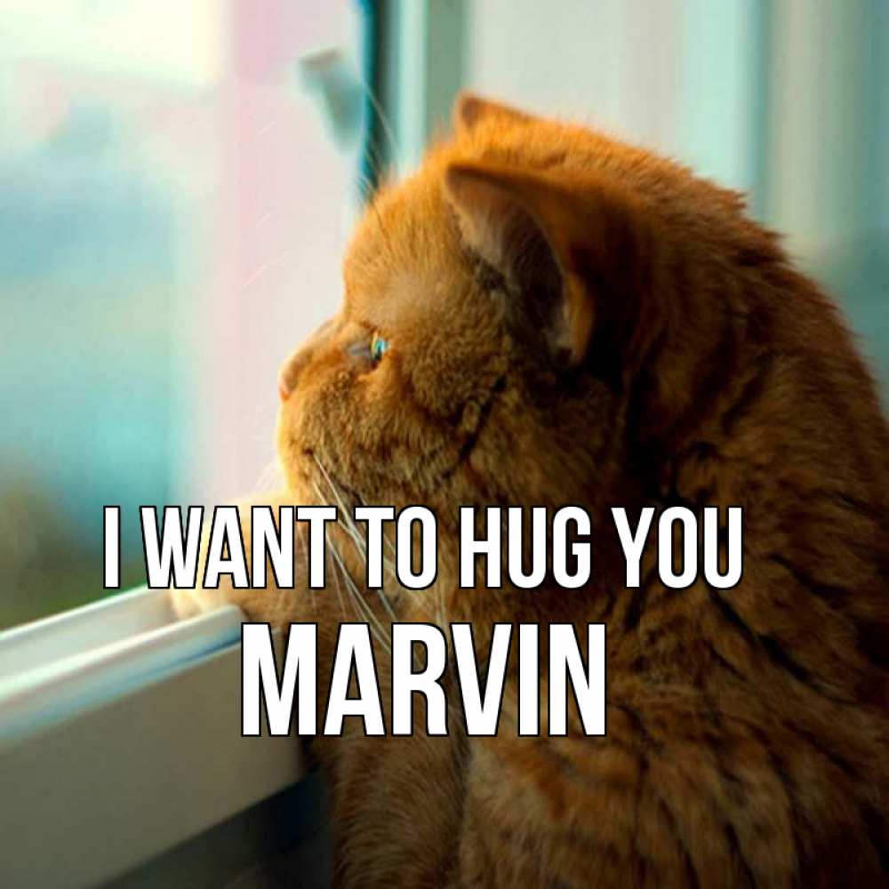 Greetings card с именем, Marvin I want to hug you большой огромный рыжий котяра Greetings with text for free download 