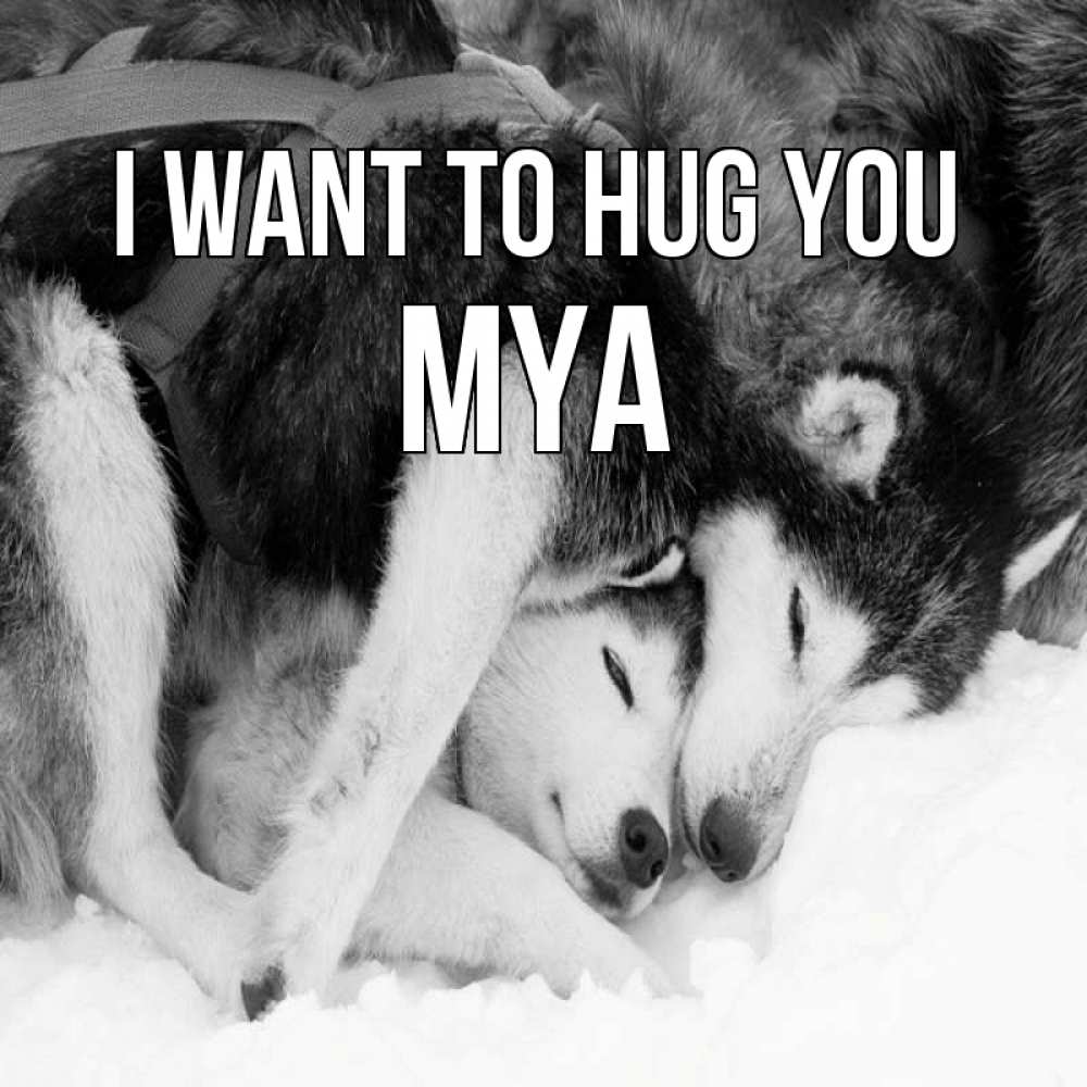 Greetings card с именем, Mya I want to hug you собачки в упряжке Greetings with text for free download 