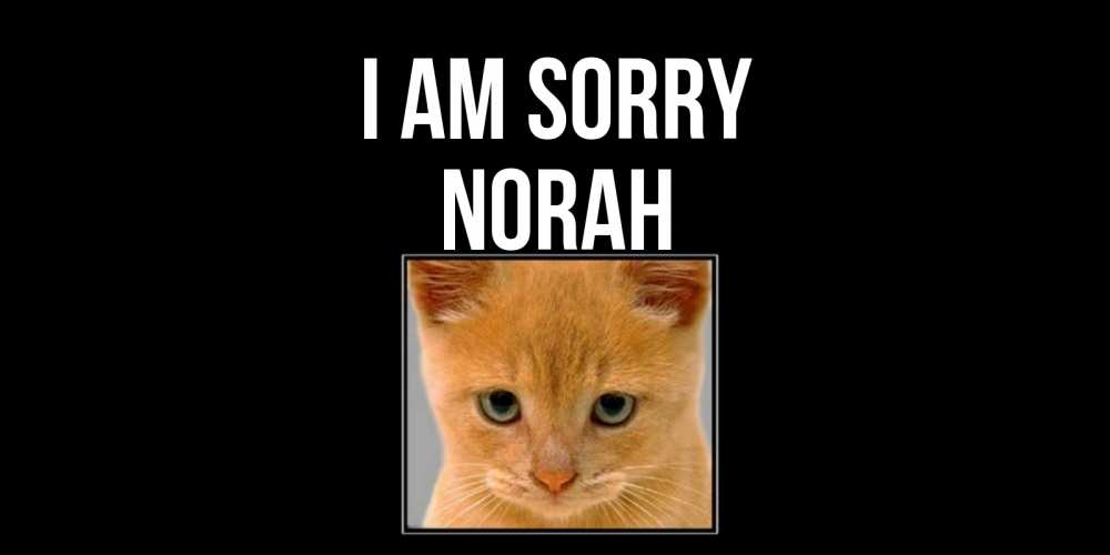 Greetings card с именем, Norah I am sorry рыжий грустный кот просит прощения Greetings with text for free download 