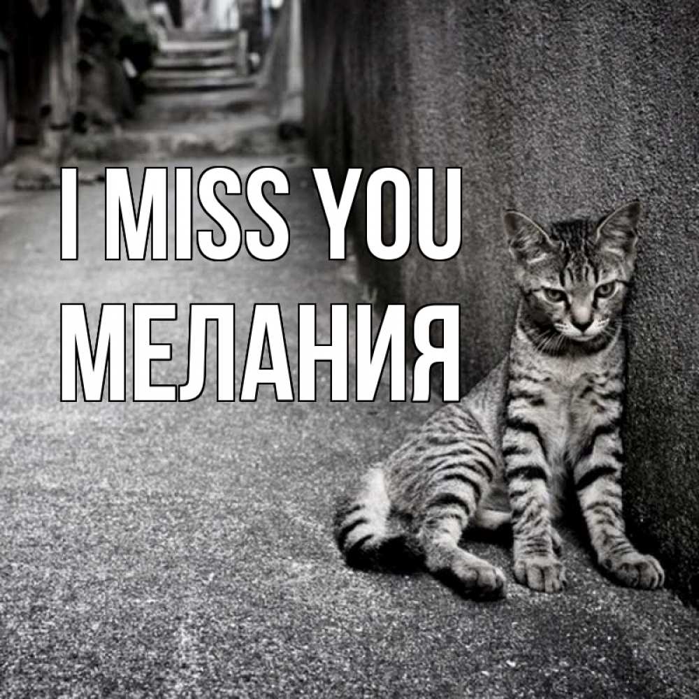 Greetings card с именем, Мелания I miss you одиноко котику Greetings with text for free download 