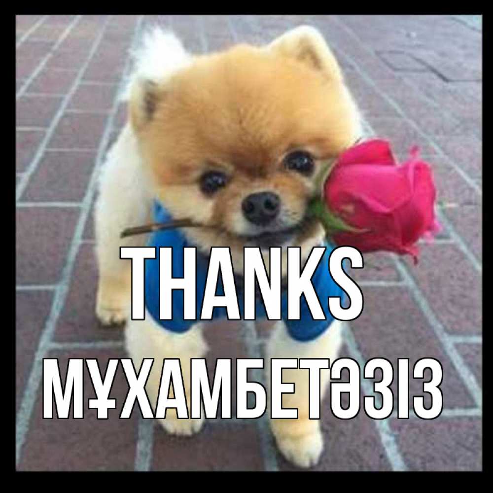 Greetings card с именем, МҰХАМБЕТӘЗІЗ Thanks спасибо и дарю тебе цветок Greetings with text for free download 