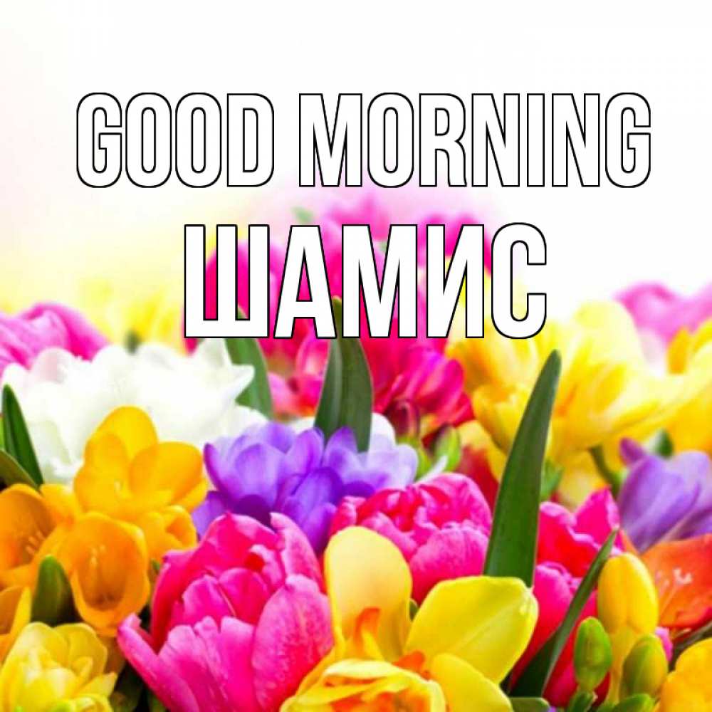 Greetings card с именем, ШАМИС Good morning создать открытку со свое подписью Greetings with text for free download 