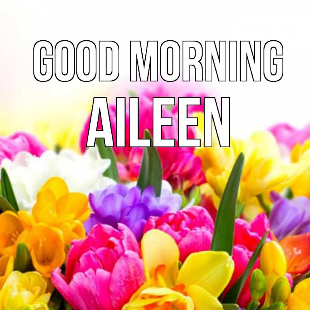 Greetings card с именем, Aileen Good morning создать открытку со свое подписью Greetings with text for free download 