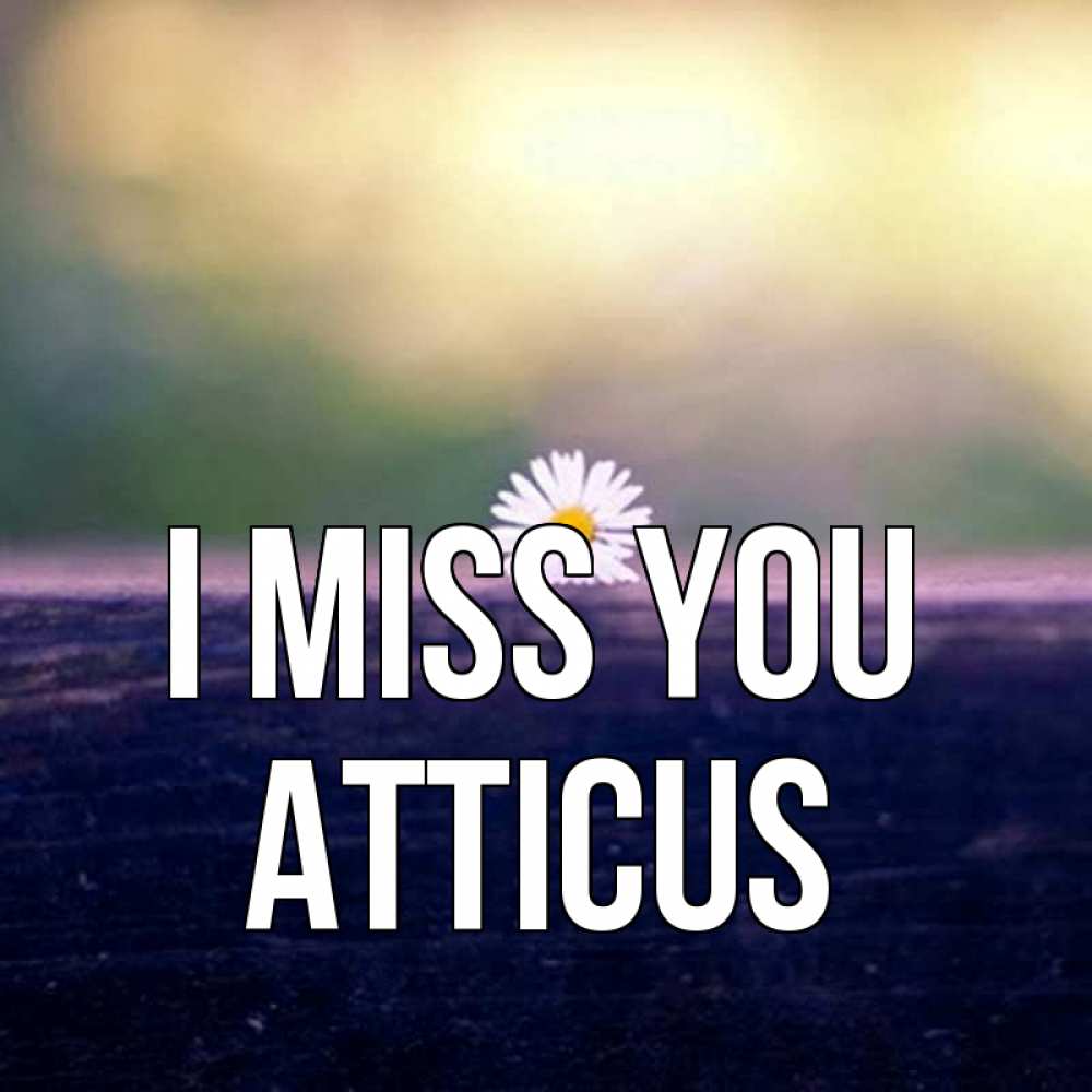 Greetings card с именем, Atticus I miss you приходи в гости Greetings with text for free download 