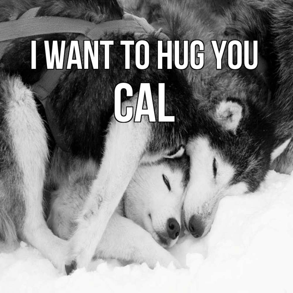 Greetings card с именем, Cal I want to hug you собачки в упряжке Greetings with text for free download 