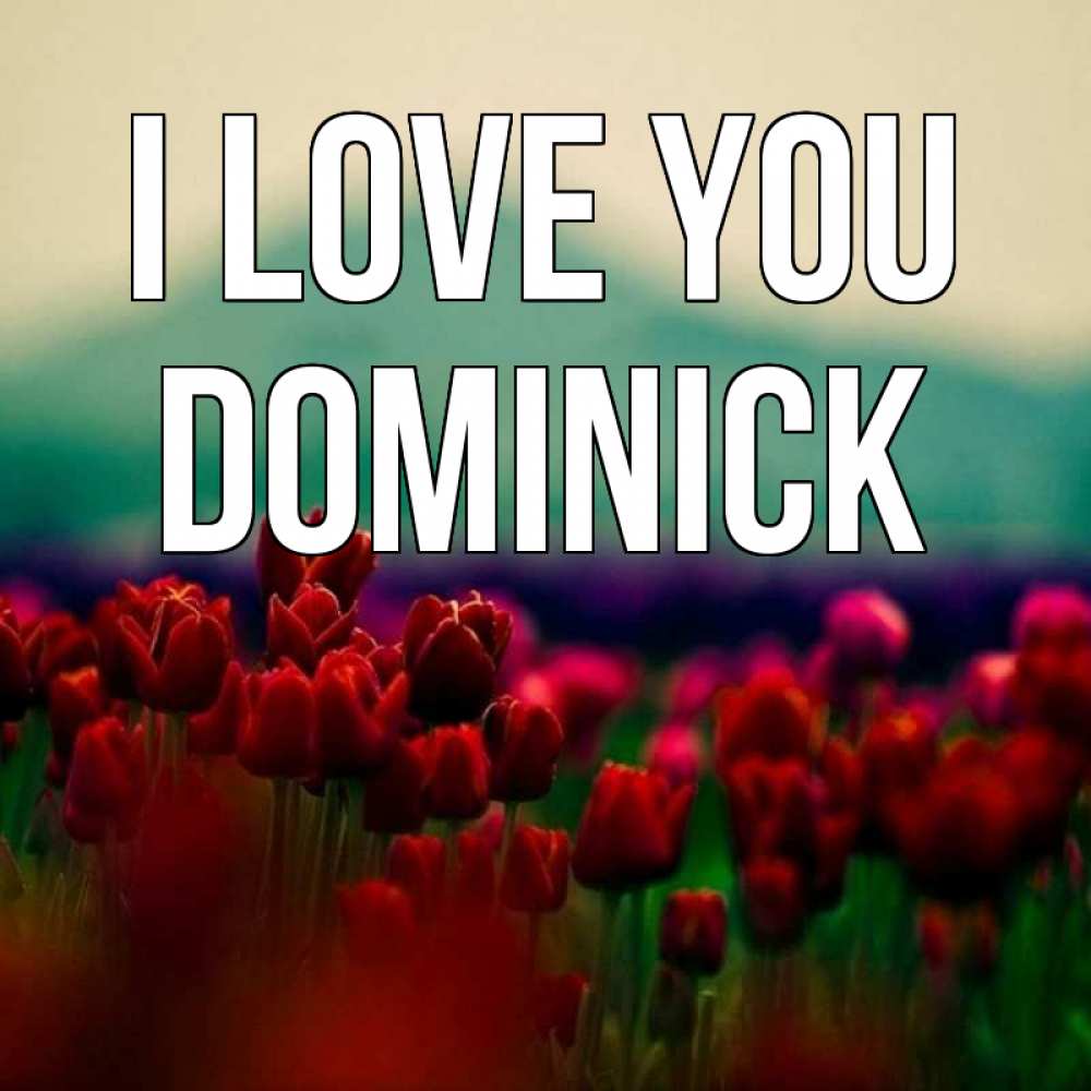 Greetings card с именем, Dominick I love you тюльпаны 4 Greetings with text for free download 