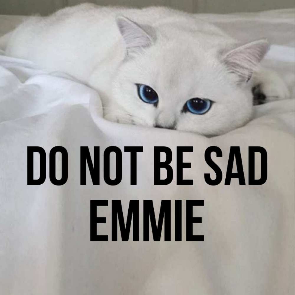 Greetings card с именем, Emmie Do not be sad Голубоглазая кошка Greetings with text for free download 