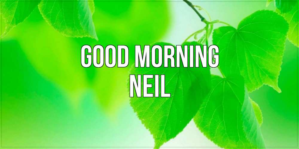 Greetings card с именем, Neil Good morning доброе утро с березовыми листьями Greetings with text for free download 