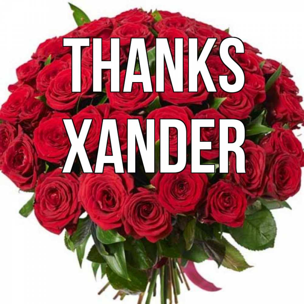 Greetings card с именем, Xander Thanks букет красных роз Greetings with text for free download 
