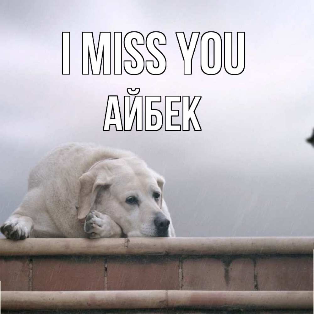 Greetings card с именем, Айбек I miss you ждет Greetings with text for free download 