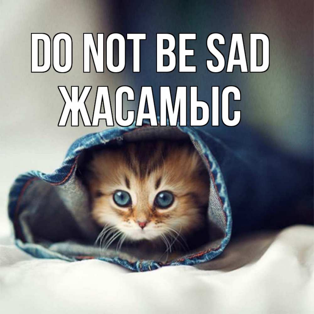 Greetings card с именем, Жасамыс Do not be sad рыжик котик Greetings with text for free download 