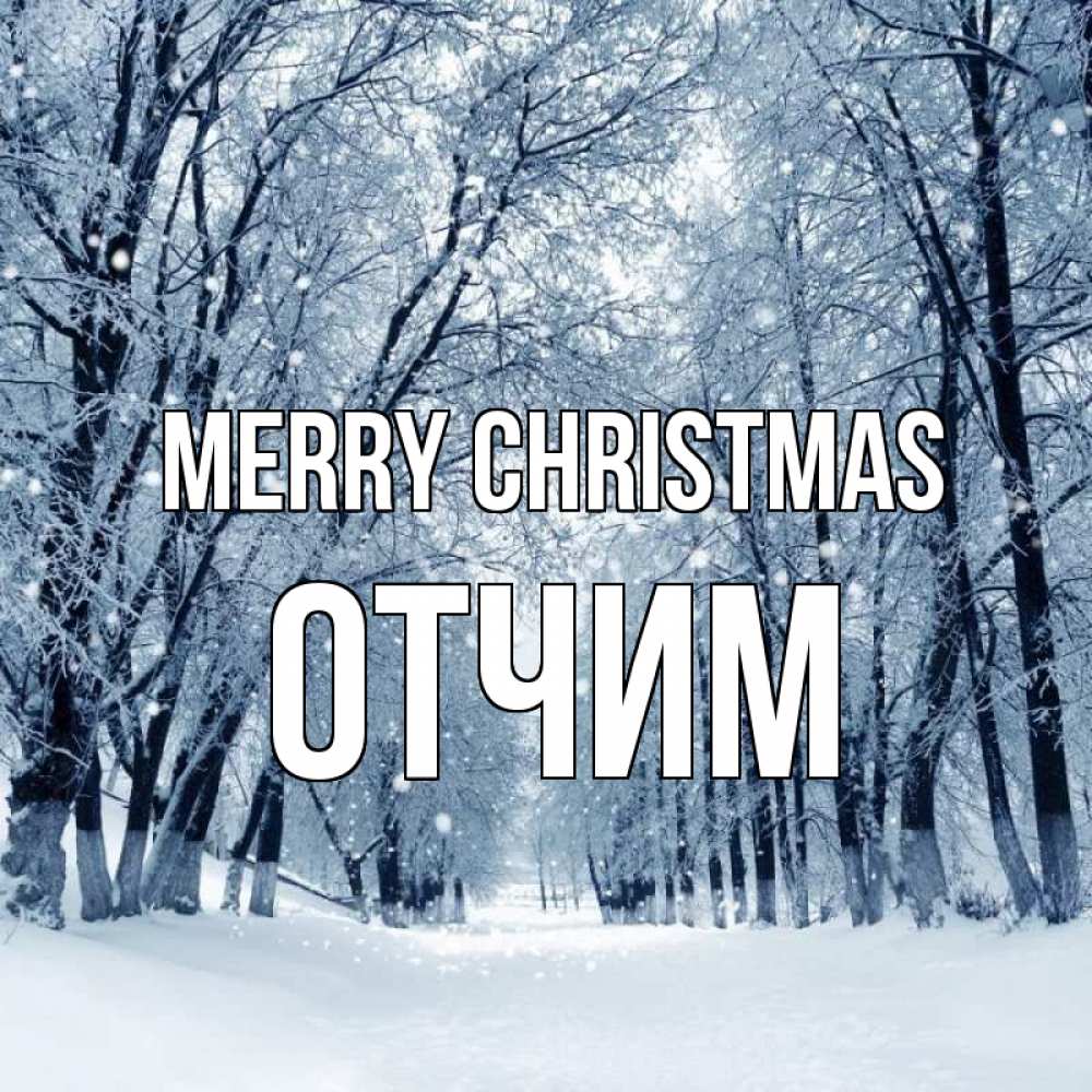 Greetings card с именем, Отчим Merry Christmas снег, лес, парк Greetings with text for free download 
