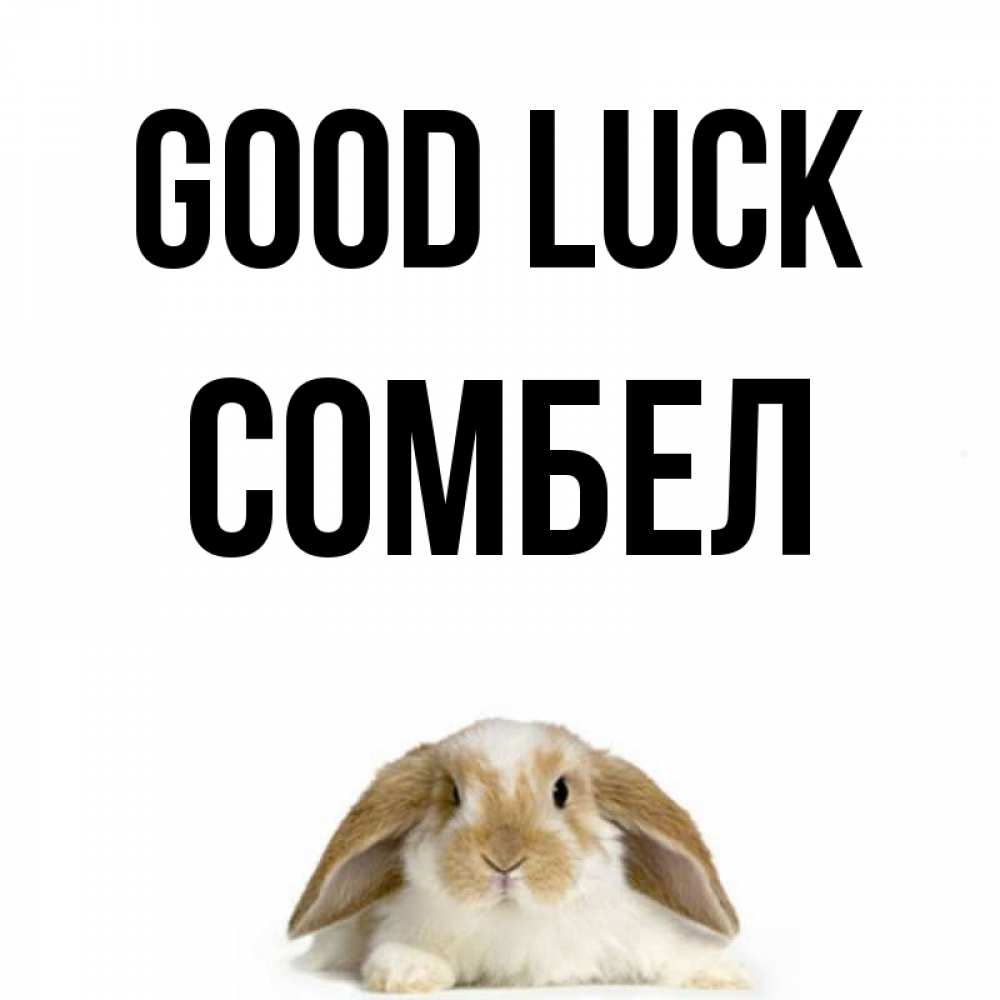 Greetings card с именем, СОМБЕЛ Good luck открытки с произвольным текстом который можно вставить в открытку и создать ее самостоятельно бесплатно онлайн Greetings with text for free download 