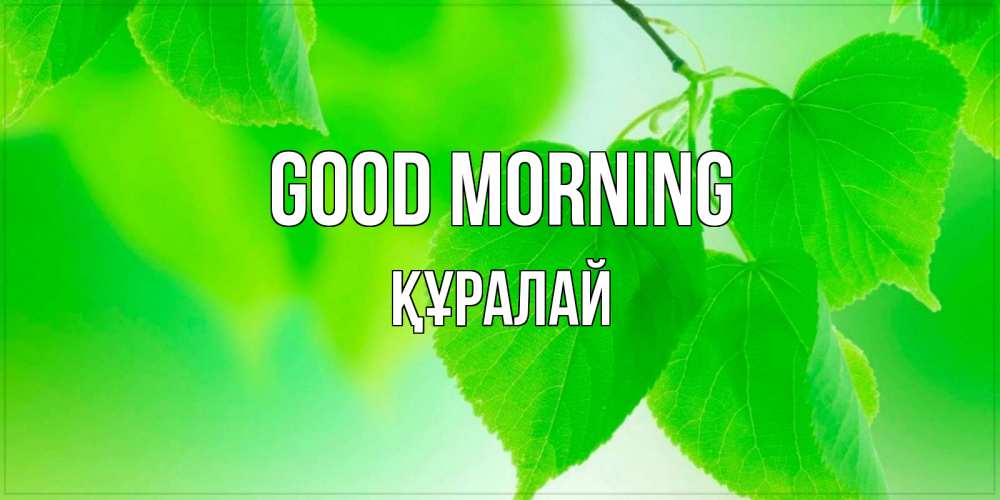 Greetings card с именем, ҚҰРАЛАЙ Good morning доброе утро с березовыми листьями Greetings with text for free download 